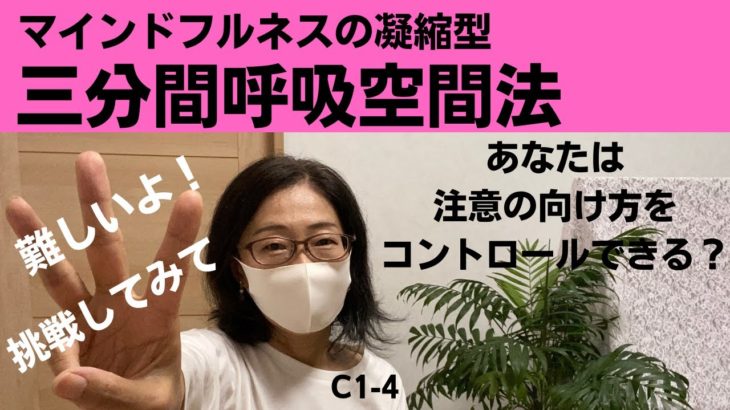 三分間呼吸空間法　マインドフルネスの究極版　脳をリセット　注意を向け方のコントロール