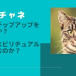 【にゃんチャネ】現職のステップアップを目指すのか？それともスピリチュアルな道に進むのか？