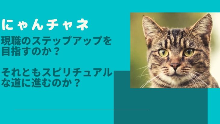 【にゃんチャネ】現職のステップアップを目指すのか？それともスピリチュアルな道に進むのか？