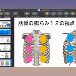 対談 ヨガと整体の接点