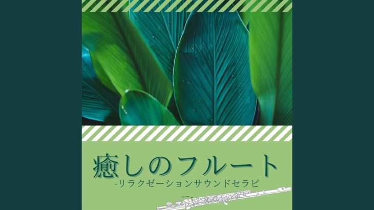 ゆっくりリラックスマインドフルネス瞑想音楽