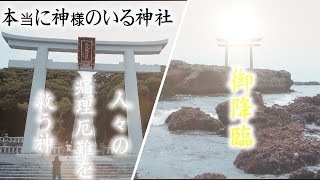 【無病息災　縁結び　開運招福】「大洗磯前神社」スピリチュアルなパワースポット神社を遠隔参拝〜信じる者は救われる〜ぜひあなたもご参拝頂き、願い事を叶えて下さい。