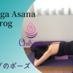 [陰ヨガ] フロッグのポーズ