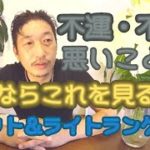 悪いことばかり続くときの解決法【タロット＆スピリチュアルメッセージ】