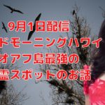 オアフ島最強の心霊スポット／ハワイのスピリチュアルカウンセラーエリー／厄除けの方法もご紹介／占いコーナーもあります