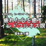 【ガイド付き瞑想】疲れた心を癒すマインドフルネス瞑想｜リラックス効果｜森を歩く編（女性ボイス、自然音、ヒーリング・ミュージック付き）