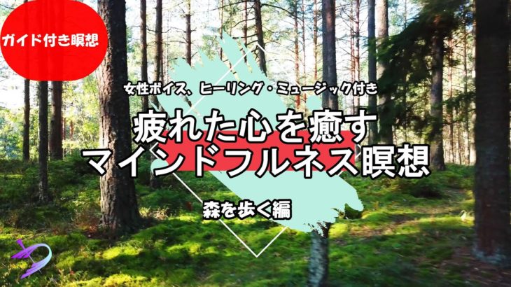 【ガイド付き瞑想】疲れた心を癒すマインドフルネス瞑想｜リラックス効果｜森を歩く編（女性ボイス、自然音、ヒーリング・ミュージック付き）
