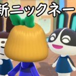 新しいニックネームとヨガ風景／マーサ【あつまれどうぶつの森】