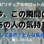 [スピリチュアルタロット占い]🔮今、この瞬間のあの人の気持ち✨🔮(あの人は何をしてるのかな❔どんな気持ちで過ごしてるのかな❔☝）