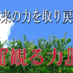 【誘導瞑想】本来の力を取り戻す『観る力』