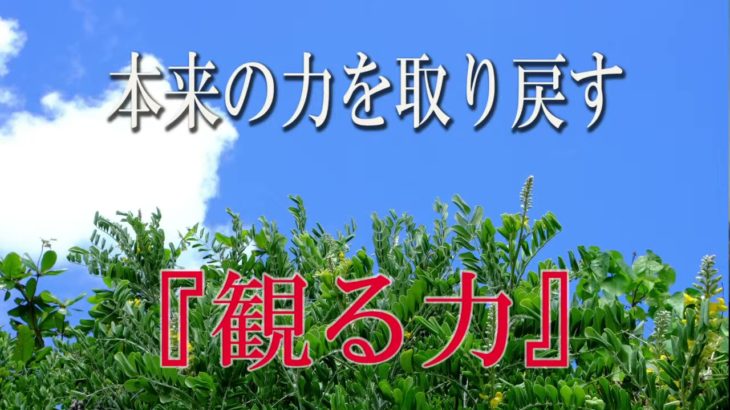 【誘導瞑想】本来の力を取り戻す『観る力』
