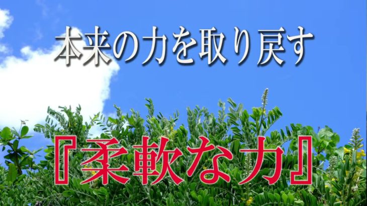 【誘導瞑想】本来の力を取り戻す『柔軟な力』