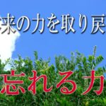 【誘導瞑想】本来の力を取り戻す『忘れる力』