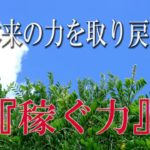 【誘導瞑想】本来の力を取り戻す『稼ぐ力』