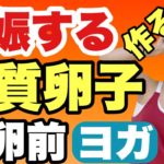 【妊活ヨガ】排卵前卵巣血流アップヨガで良質卵子を作る！