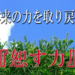 【誘導瞑想】本来の力を取り戻す『恕す力』