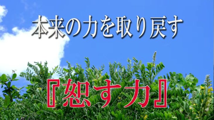 【誘導瞑想】本来の力を取り戻す『恕す力』