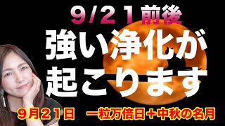 【一粒万倍日と中秋の名月】２１日前後は強いデトックスが起きる！金運・財運上昇のダブル開運日！９月２１日の開運アクション！