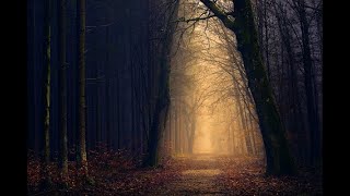 リラクゼーション　睡眠　瞑想　癒しのヒーリングミュージック