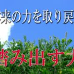 【誘導瞑想】本来の力を取り戻す『踏み出す力』