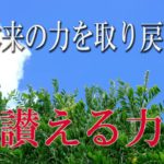 【誘導瞑想】本来の力を取り戻す『讃える力』