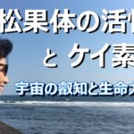 【松果体の活性化とケイ素】【スピリチュアル】ゆかり yukari radio19