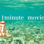 癒し，瞑想，水の中，呼吸＠すぎきくん1分動画