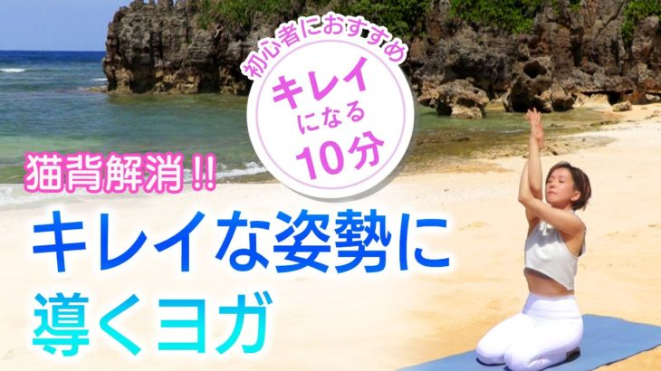 【姿勢ヨガ10分】初心者にもおすすめ！きれいな姿勢に導くヨガ　CuteBirds Yoga#2