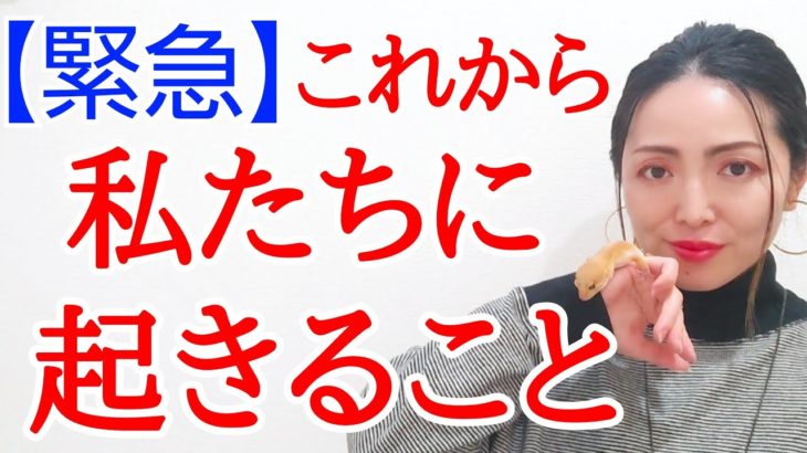 ★11月から私たちが向かう世界。いよいよ魂の世界へ。早めに知ってください。