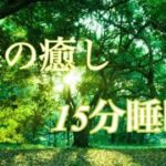 【自然】森の癒し音 15分睡眠