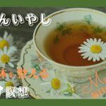 【誘導瞑想】15分  秋の眠る前の自分癒し  瞑想  ＃2