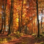 れる水の音でリラックスできるピアノ瞑想音楽 • リラックス、睡眠、マッサージ、ヨガ、瞑想 – 2021 年 8 月にリリースされた最もユニークで新しい音楽【癒し音楽BGM】