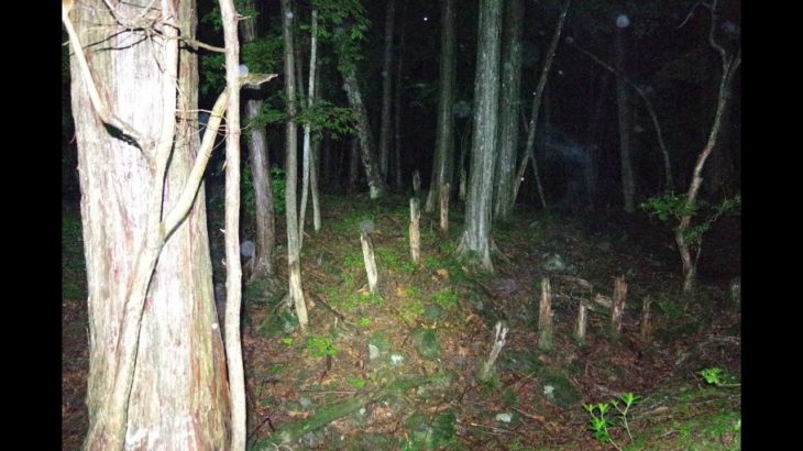 【423日目】怖い心霊スクショ検証…スピリチュアルでお悩み解決！ホメホメ時間、雑談や作戦会議