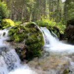 冷たい清水が流れています#睡眠#リラックス#癒し自然#4K