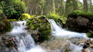 冷たい清水が流れています#睡眠#リラックス#癒し自然#4K