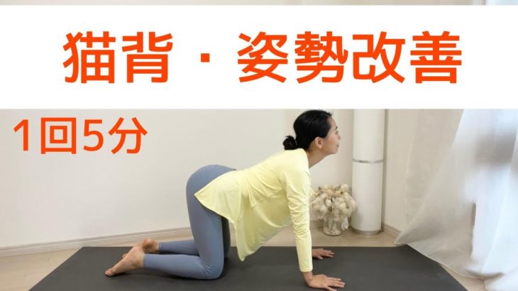 猫背改善ヨガストレッチ5分 | 巻き肩や背中・腰の張りを感じる方にも