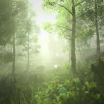 【528Hz・睡眠・癒し】目覚めの良いピアノ音楽にソルフェジオ周波数を合わせてスーッと寝落ち…心身の疲れ、ストレスを緩和していく濃縮した熟睡でスッキリ目覚める睡眠導入音楽