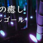 やさしい音色に包まれる、癒しのオルゴール【睡眠用BGM】心やすらぐひと時を♪