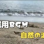 【睡眠用BGM】【癒し自然音】波の音～リラックス