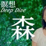 【５５分瞑想”森”】癒しの音楽と映像〜瞑想を深める〜「Kumiのエネルギー封入」