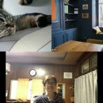 おはようございます！😊日本全国朝のマインドフルネス体操です！SDGs！いつもありがとう！（今日で連続530回の2021年10月13日）※毎朝6時40分～7時迄 どうぞ、ご参加下さい！