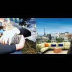 おはようございます！😊日本全国朝のマインドフルネス体操です！SDGs！いつもありがとう！（今日で連続545回の2021年10月28日）※毎朝6時40分～7時迄 どうぞ、ご参加下さい！