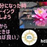 【htl day-22】ウェルビーイングにベローンと乗って連れて行ってもらおう