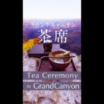 茶席[グランドキャニオン]  #shorts ＃茶道 #マインドフルネス