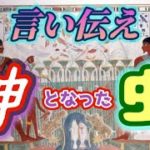 【虫】私たちは自然そのものスピリチュアルです！神となったスカラベ#shorts