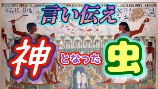 【虫】私たちは自然そのものスピリチュアルです！神となったスカラベ#shorts