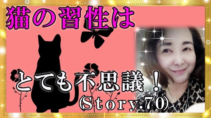 【スピリチュアル】猫は変わったものを持っていてとってもかわいいです。『魔法のニベルセーヌ』