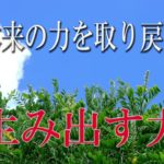 【誘導瞑想】本来の力を取り戻す『生み出す力』