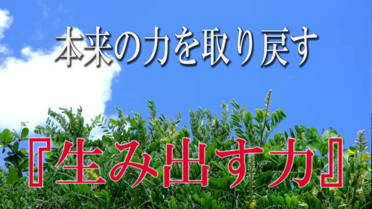【誘導瞑想】本来の力を取り戻す『生み出す力』