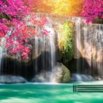 滝マインドフルネス（ループ）